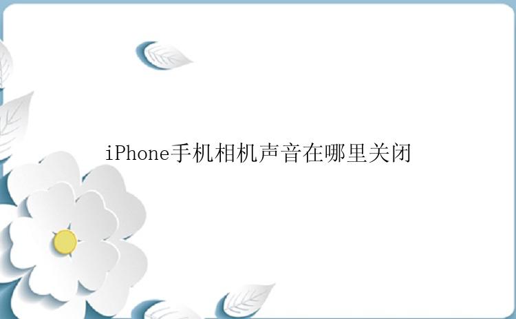 iPhone手机相机声音在哪里关闭