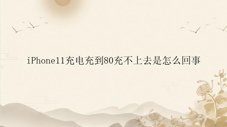 iPhone11充电充到80充不上去是怎么回事