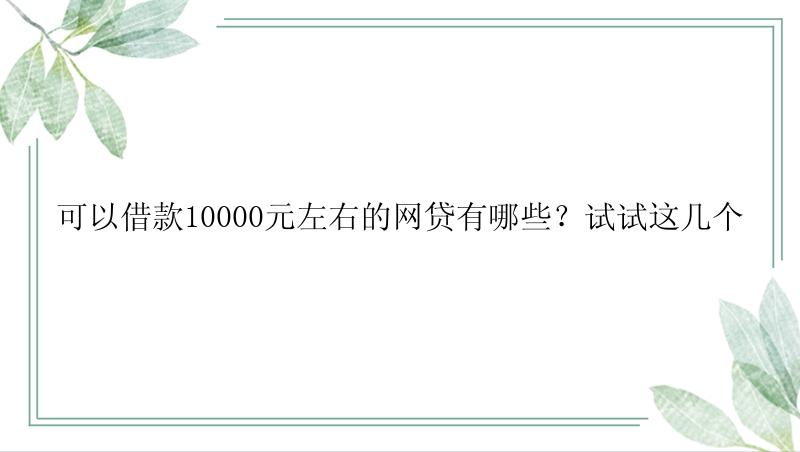 可以借款10000元左右的网贷有哪些？试试这几个