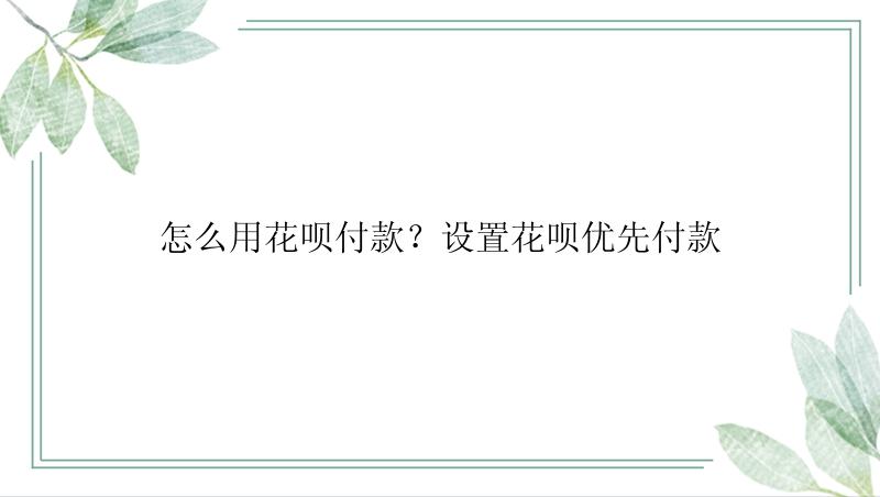 怎么用花呗付款？设置花呗优先付款