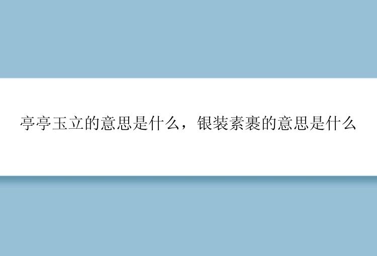 亭亭玉立的意思是什么，银装素裹的意思是什么