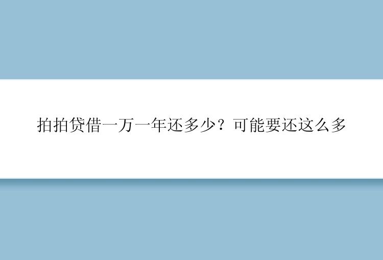 拍拍贷借一万一年还多少？可能要还这么多