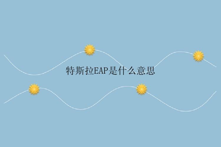 特斯拉EAP是什么意思