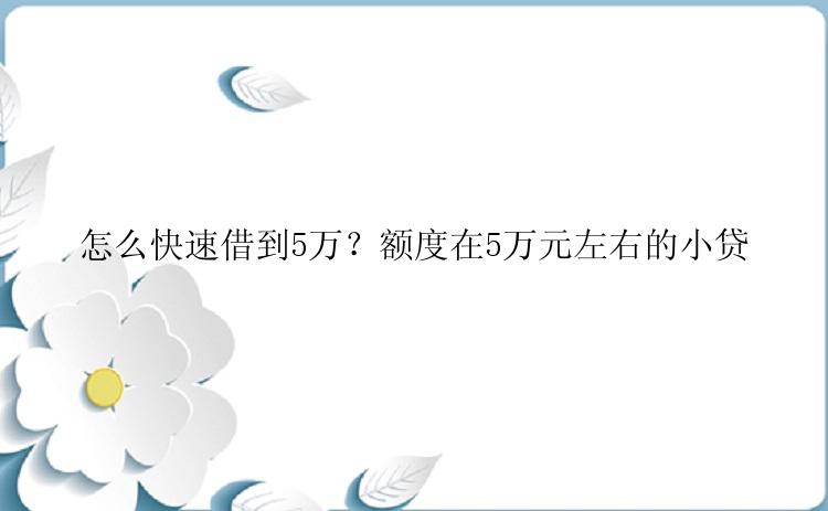 怎么快速借到5万？额度在5万元左右的小贷