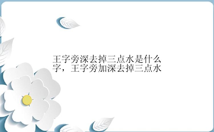 王字旁深去掉三点水是什么字，王字旁加深去掉三点水