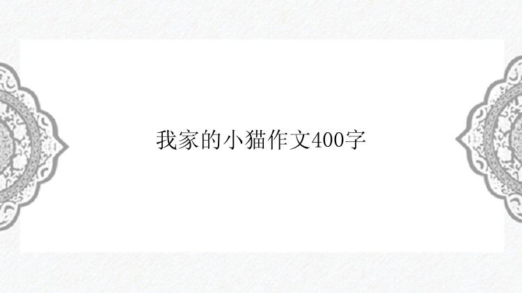 我家的小猫作文400字