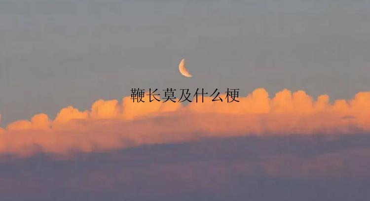 鞭长莫及什么梗