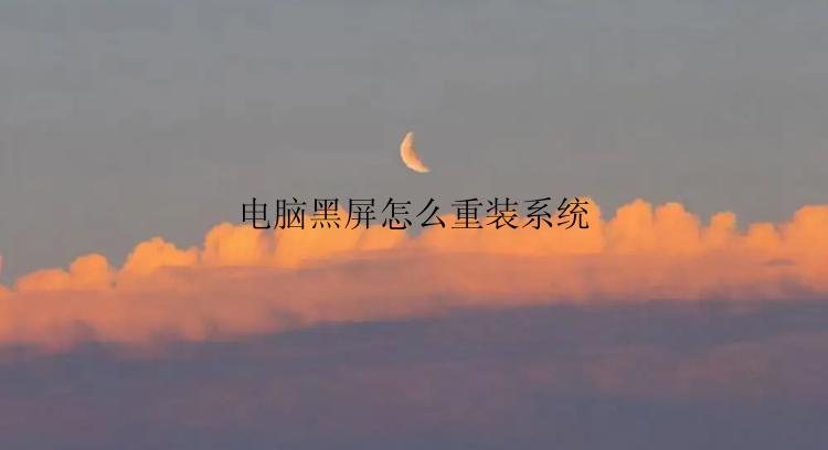 电脑黑屏怎么重装系统