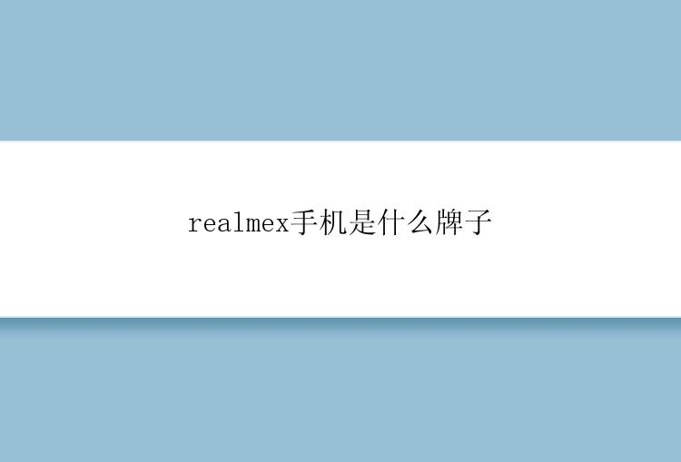 realmex手机是什么牌子