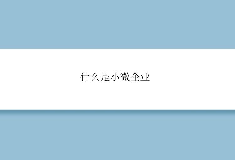 什么是小微企业 