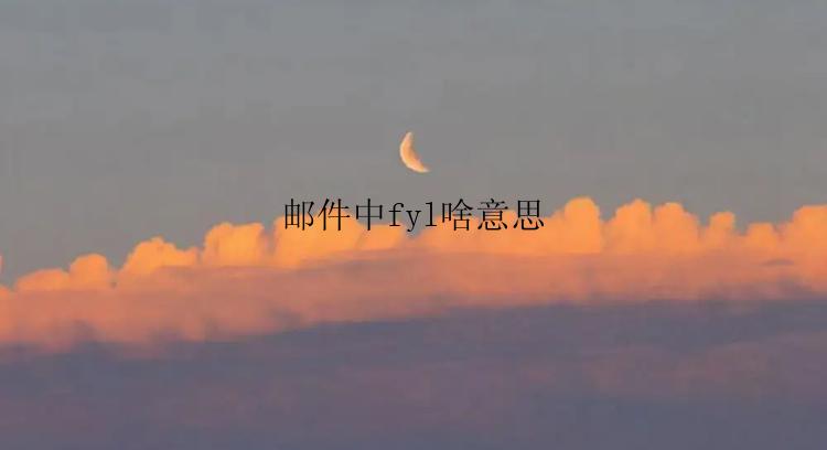 邮件中fyl啥意思