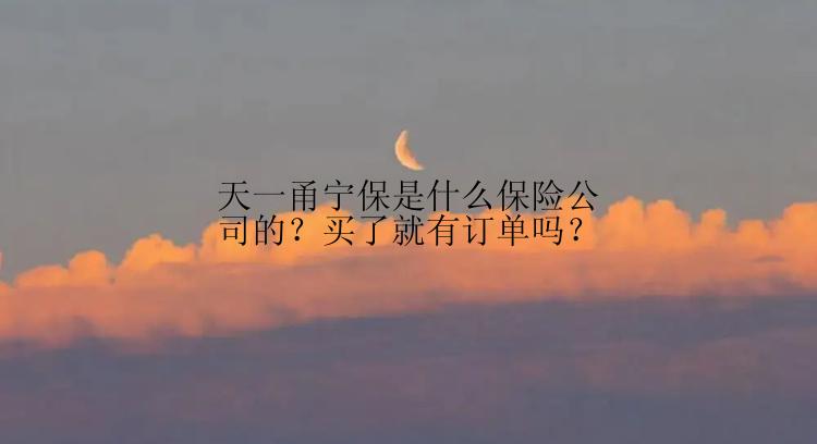 天一甬宁保是什么保险公司的？买了就有订单吗？