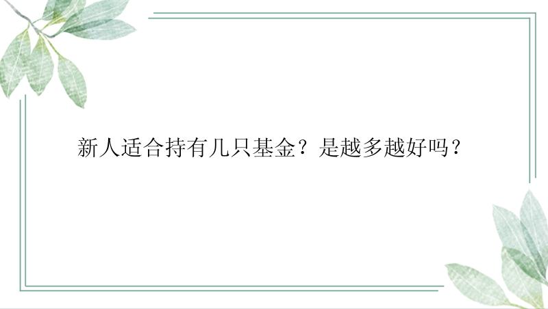 新人适合持有几只基金？是越多越好吗？