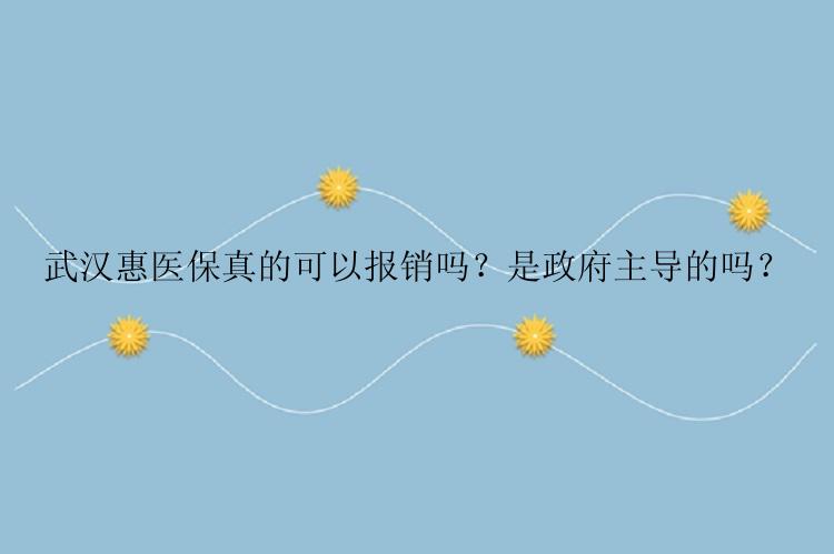 武汉惠医保真的可以报销吗？是政府主导的吗？