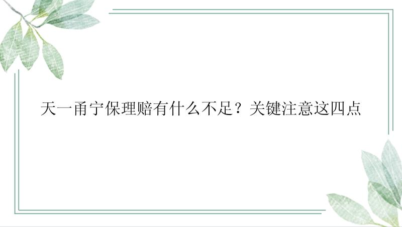 天一甬宁保理赔有什么不足？关键注意这四点