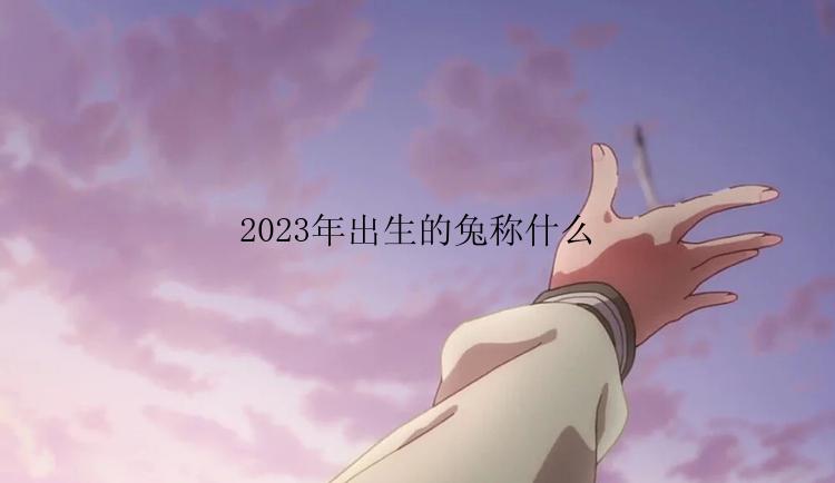 2023年出生的兔称什么