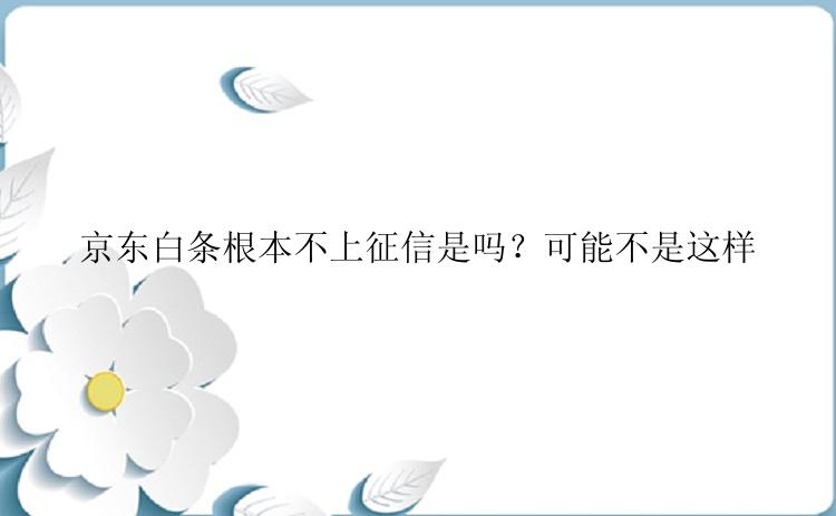 京东白条根本不上征信是吗？可能不是这样