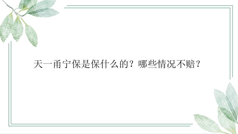 天一甬宁保是保什么的？哪些情况不赔？