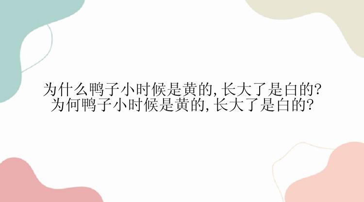 为什么鸭子小时候是黄的,长大了是白的? 为何鸭子小时候是黄的,长大了是白的?