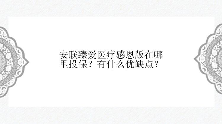 安联臻爱医疗感恩版在哪里投保？有什么优缺点？