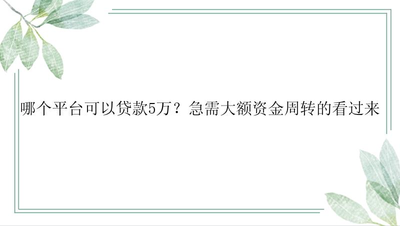 哪个平台可以贷款5万？急需大额资金周转的看过来