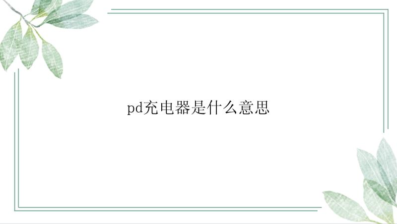 pd充电器是什么意思