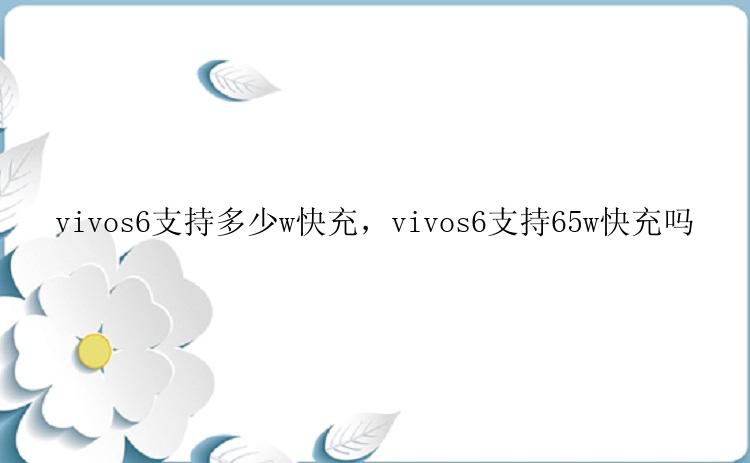 vivos6支持多少w快充，vivos6支持65w快充吗