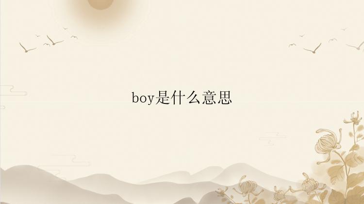 boy是什么意思