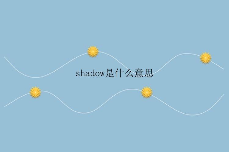 shadow是什么意思