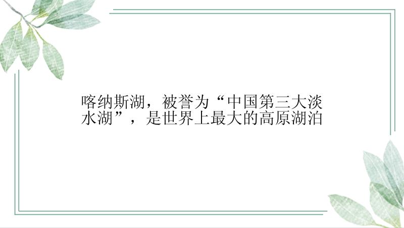 喀纳斯湖，被誉为“中国第三大淡水湖”，是世界上最大的高原湖泊