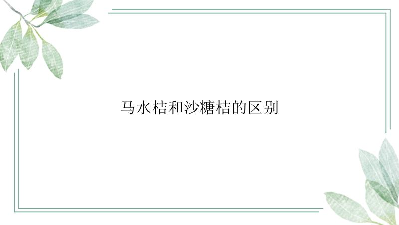 马水桔和沙糖桔的区别