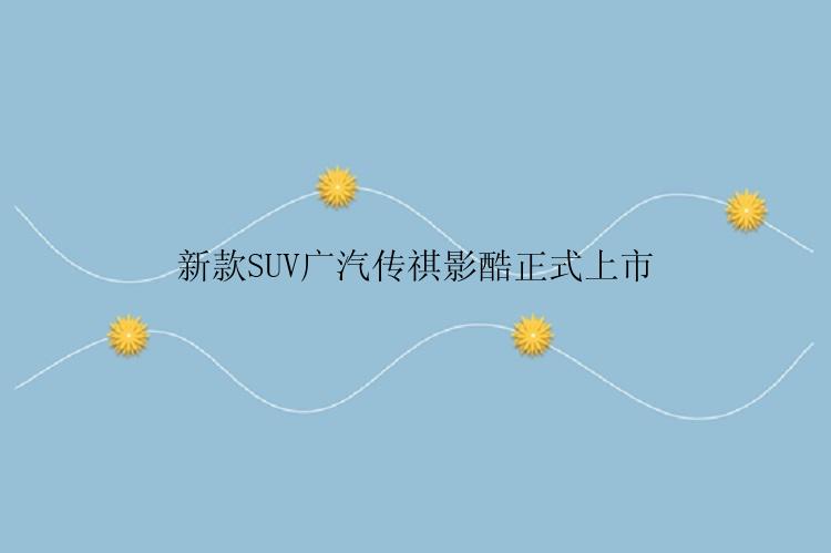 新款SUV广汽传祺影酷正式上市