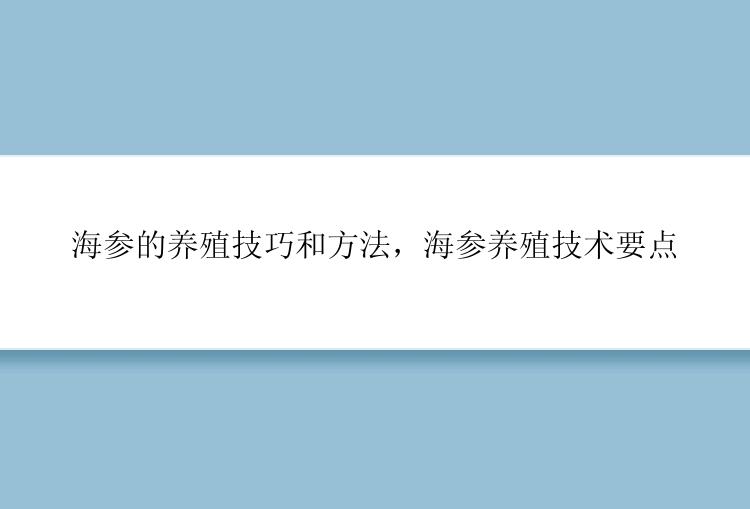 海参的养殖技巧和方法，海参养殖技术要点