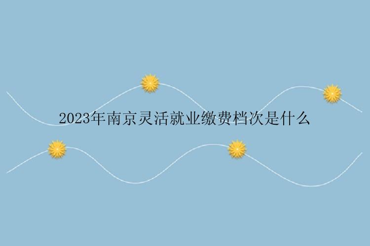 2023年南京灵活就业缴费档次是什么