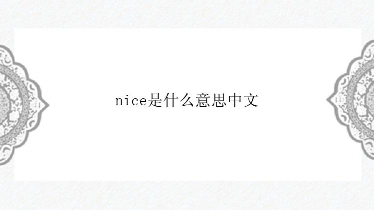 nice是什么意思中文