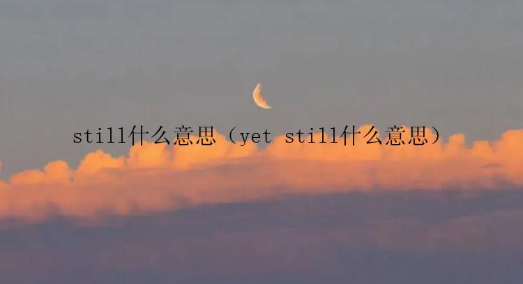 still什么意思（yet still什么意思）