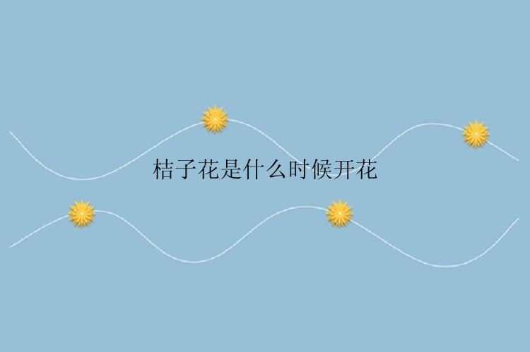 桔子花是什么时候开花