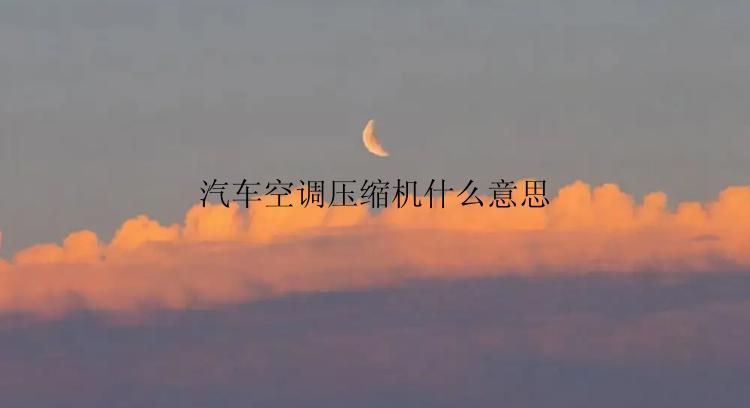 汽车空调压缩机什么意思