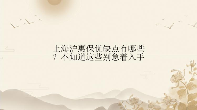 上海沪惠保优缺点有哪些？不知道这些别急着入手