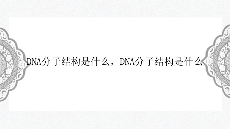 DNA分子结构是什么，DNA分子结构是什么