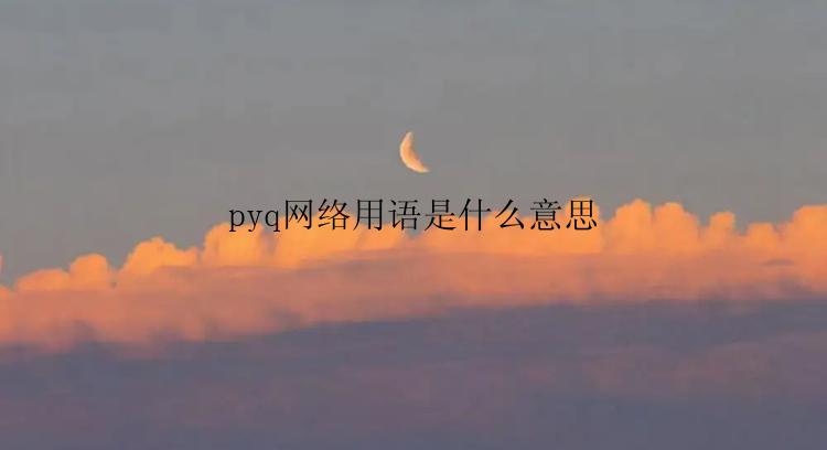 pyq网络用语是什么意思