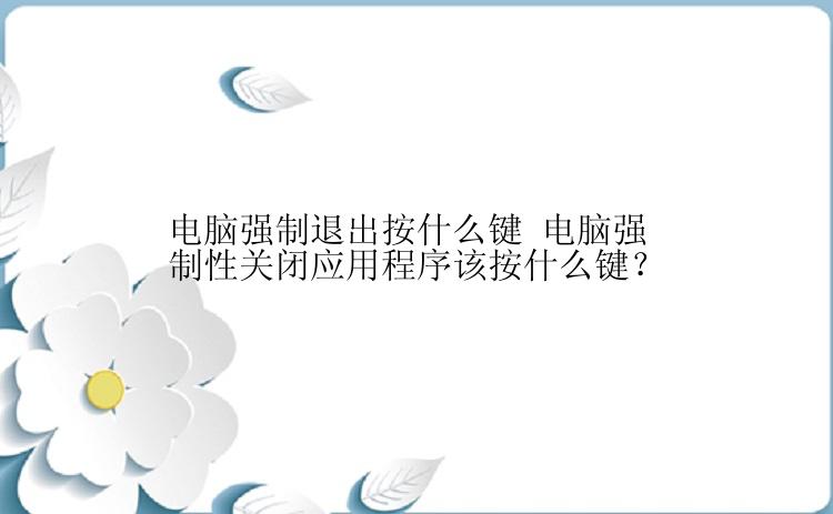 电脑强制退出按什么键 电脑强制性关闭应用程序该按什么键？