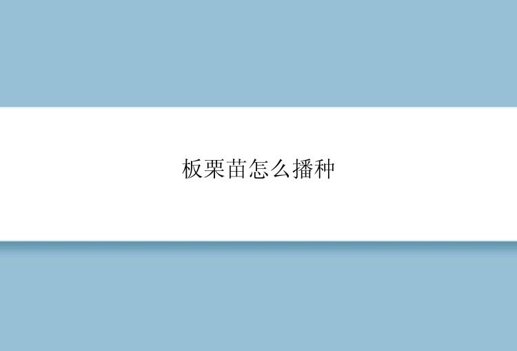 板栗苗怎么播种