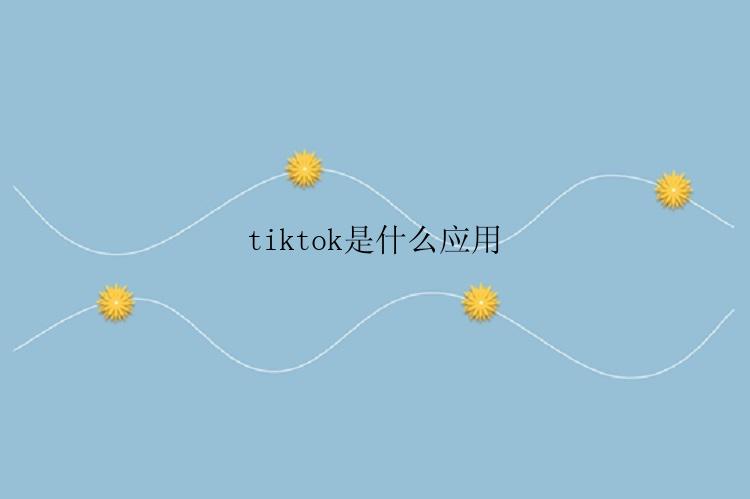 tiktok是什么应用