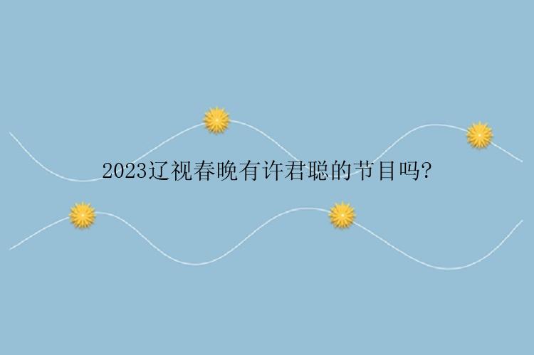 2023辽视春晚有许君聪的节目吗?