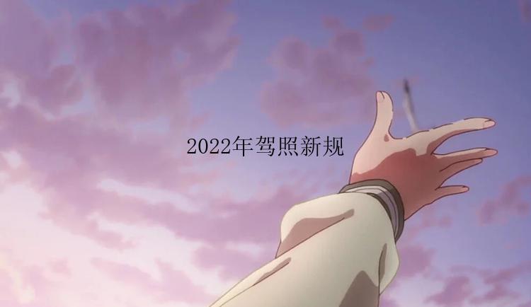 2022年驾照新规