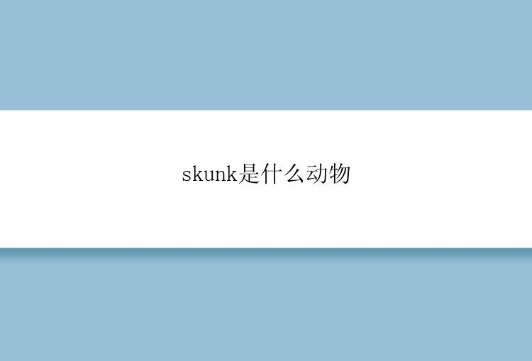 skunk是什么动物