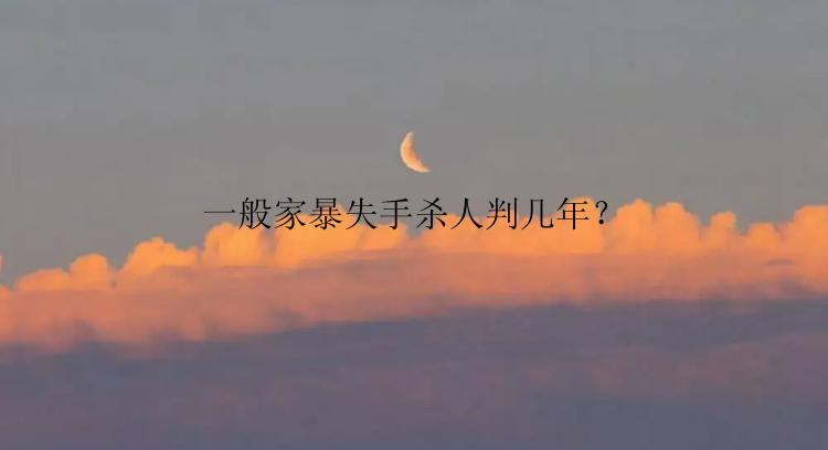 一般家暴失手杀人判几年？