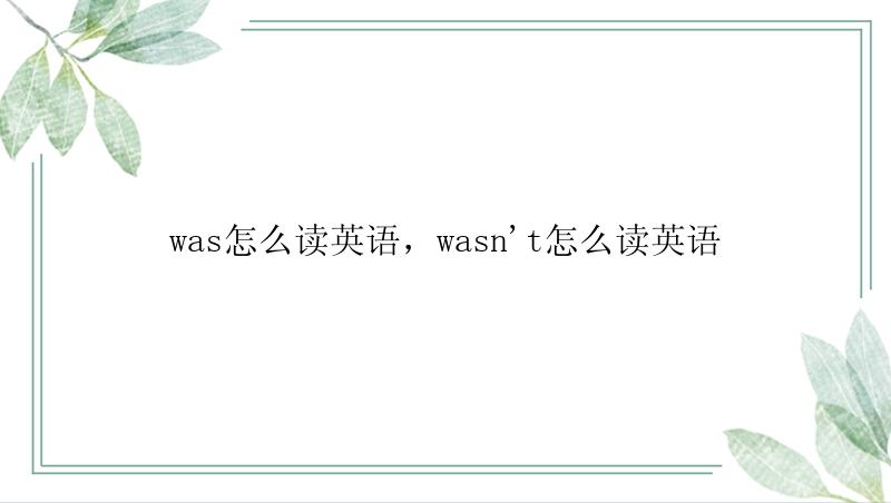 was怎么读英语，wasn\