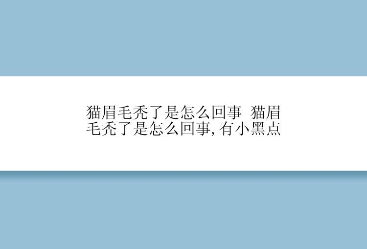 猫眉毛秃了是怎么回事 猫眉毛秃了是怎么回事,有小黑点